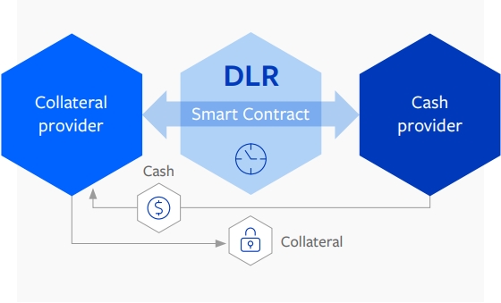 DLR Smart Contract