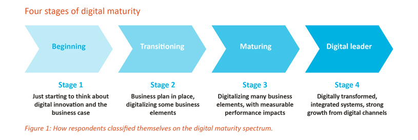 Four stages of digital maturity