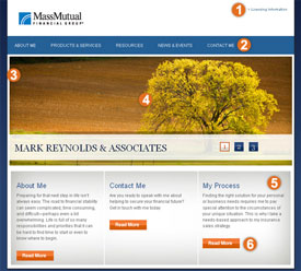 Mass mutual field web program