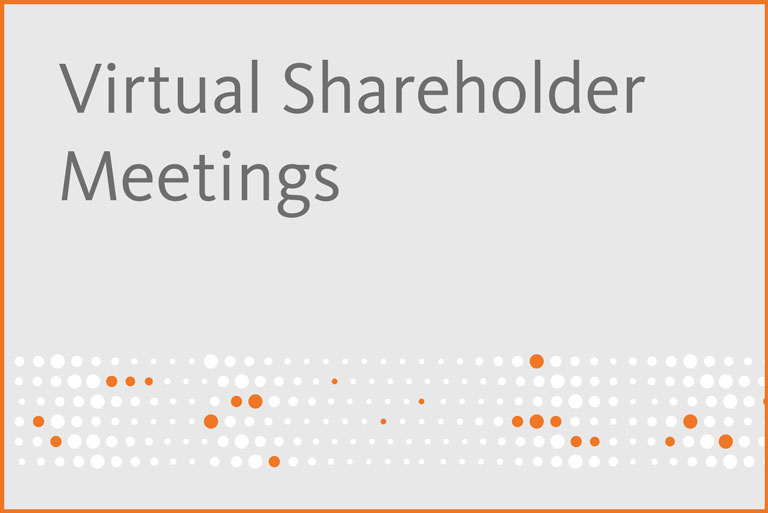Virtual Shareholder Meetings