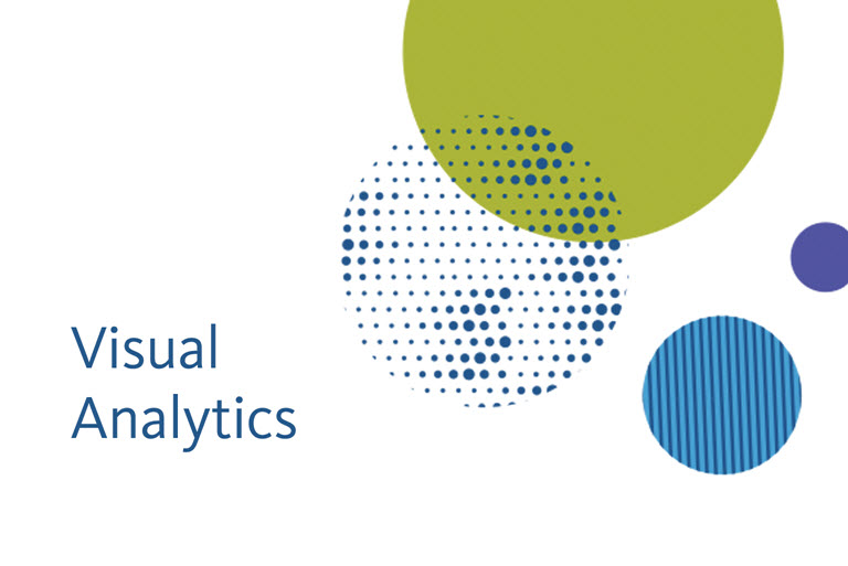 Visual Analytics
