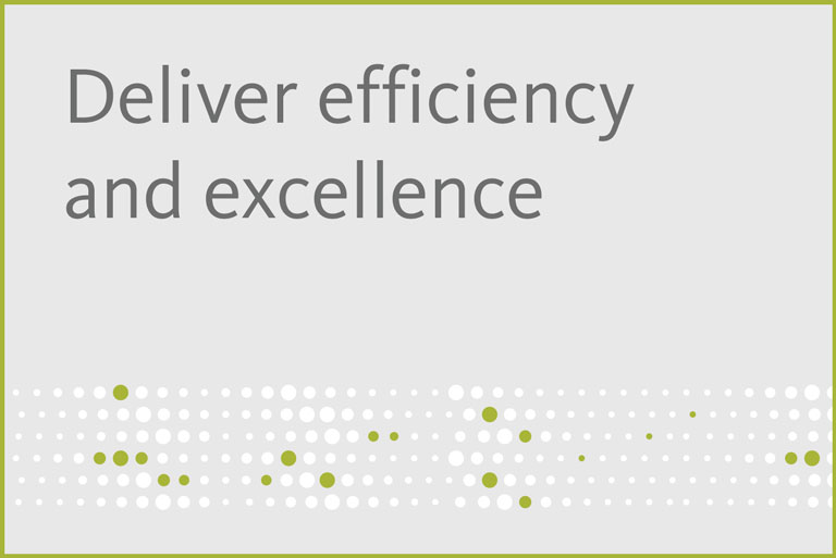 Deliver efficiency and excellence