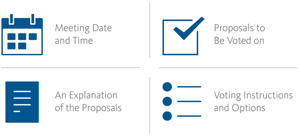 Proxy Voting