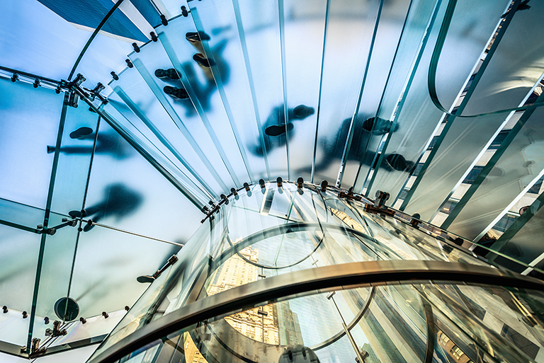 Regulatory Insights for Asset Managers